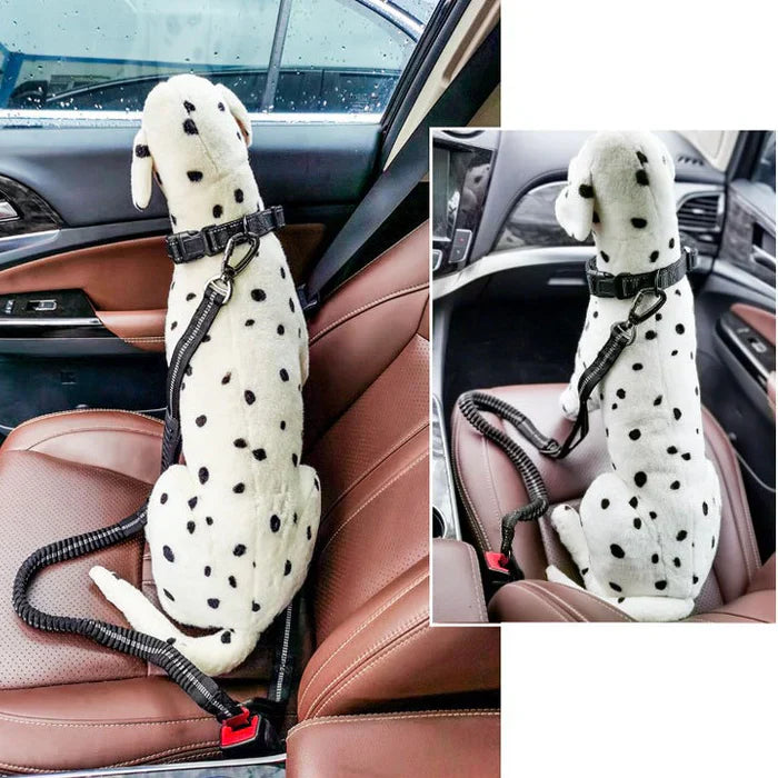 Pet Car & Outing Safety Belt