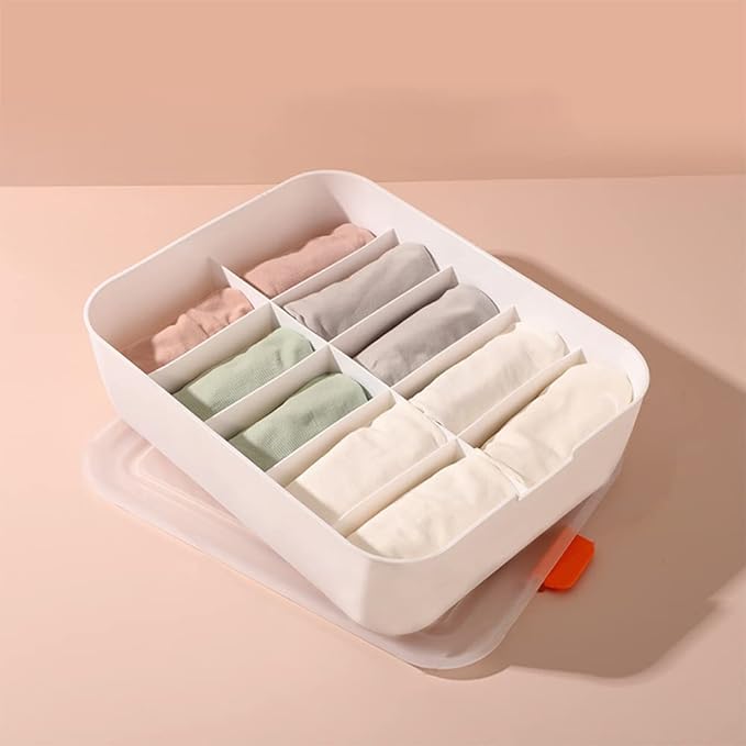 Cloth Organizer Storage Boxes
