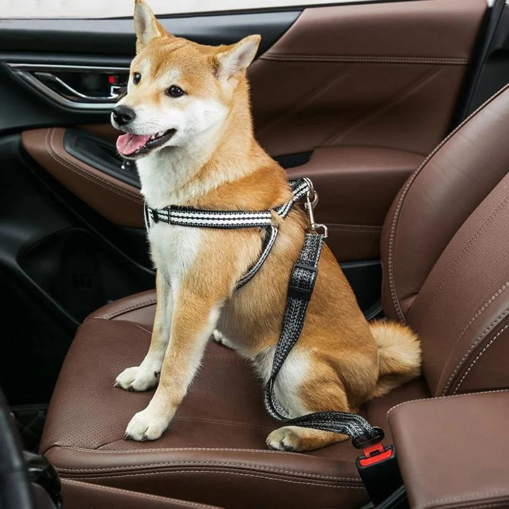 Pet Car & Outing Safety Belt