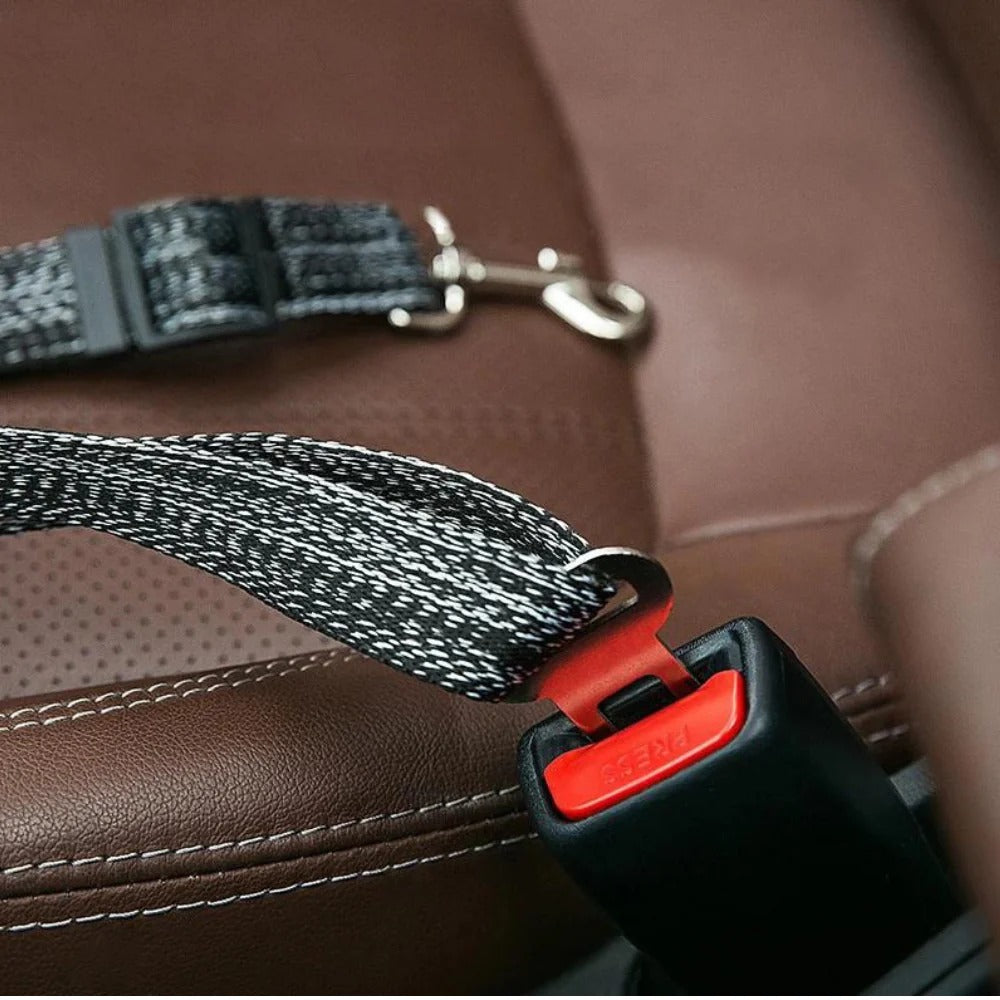 Pet Car & Outing Safety Belt
